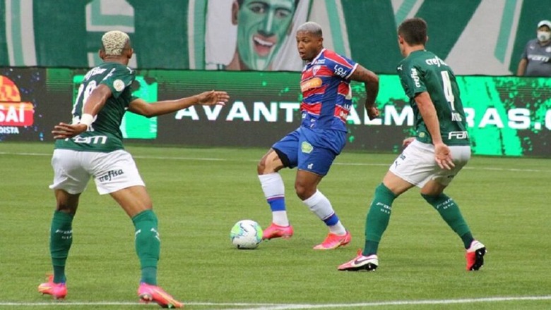 Palmeiras - Bản xem trước và dự đoán của Fortaleza